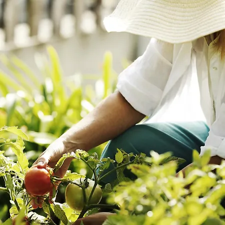 Real Abadia, Congress & ホテル アルコバサ