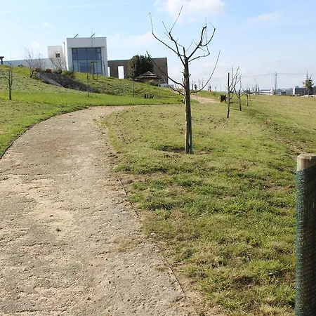 Real Abadia, Congress & アルコバサ