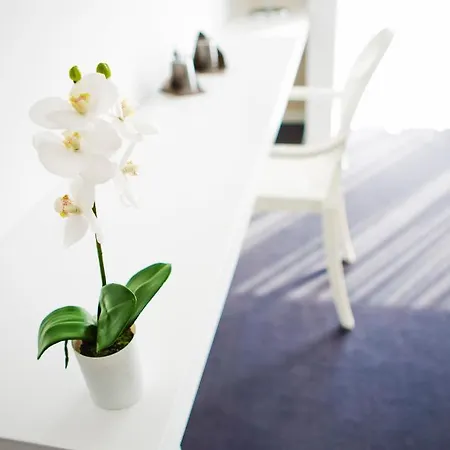 Real Abadia, Congress & 4* アルコバサ