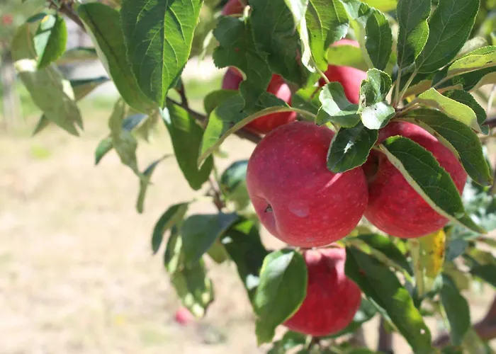 Hotel Real Abadia, Congress & 4*